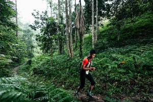 BIB: 
                            <button type="button" onclick="openModal(26357277)" class="btn btn-primary btn-sm float-right btn-popup" data-toggle="modal" data-target=".modal-high-quality">
                        <i class="fas fa-shopping-cart"></i> Add to Cart
                    </button>
                                            <button type="button" onclick="isThisMe(26357277, true)" class="btn btn-success btn-sm float-right btn-popup btn-isme hidden" data-toggle="tooltip" data-placement="bottom" title="นี่คือรูปของคุณใช่ไหม คลิกที่นี่เพื่อเอาเข้าอัลบั้ม">
                        <i class="fas fa-plus"></i> Add to album
                    </button>
                    <button type="button" onclick="isThisMe(26357277, false)" class="btn btn-warning btn-sm float-right btn-popup btn-isnotme hidden">
                        <i class="fas fa-ban"></i> Remove from album
                    </button>